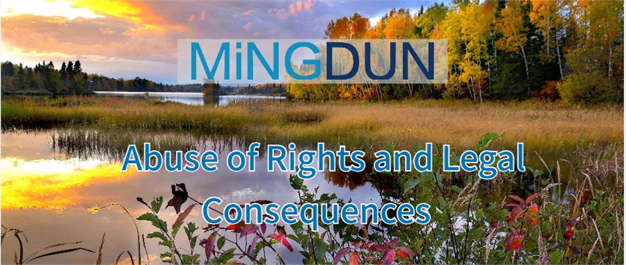 Abuse of Rights and Legal Consequences